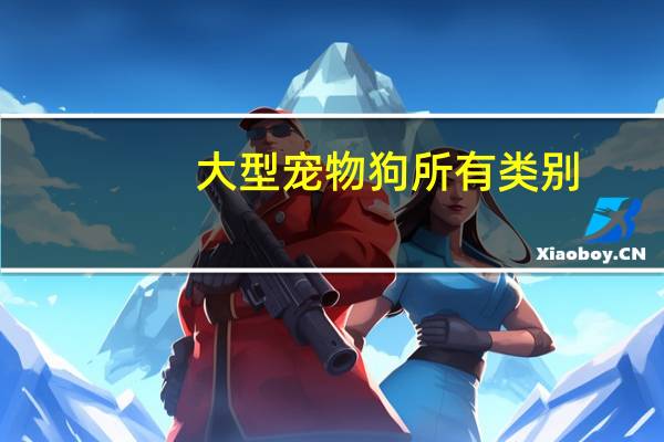 大型宠物狗所有类别