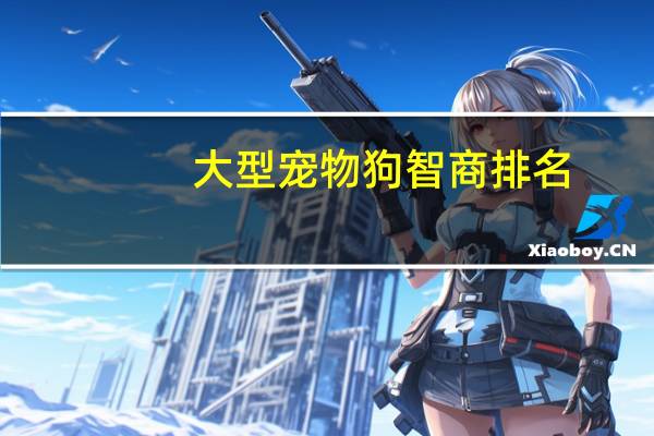 大型宠物狗智商排名