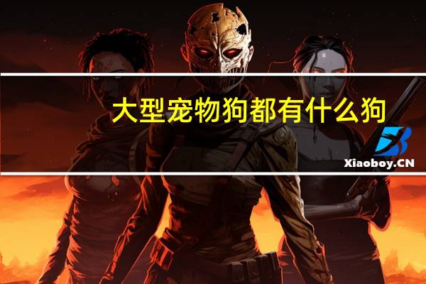 大型宠物狗都有什么狗