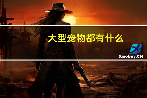 大型宠物都有什么