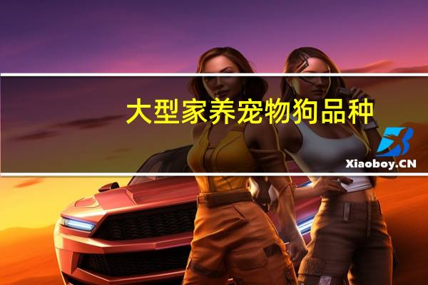 大型家养宠物狗品种