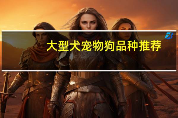 大型犬宠物狗品种推荐