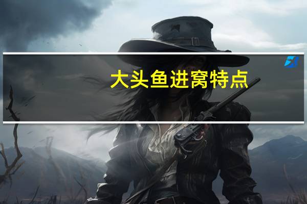 大头鱼进窝特点