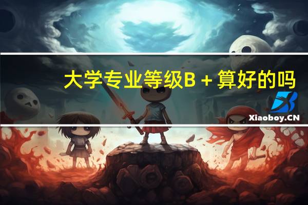 大学专业等级B＋算好的吗