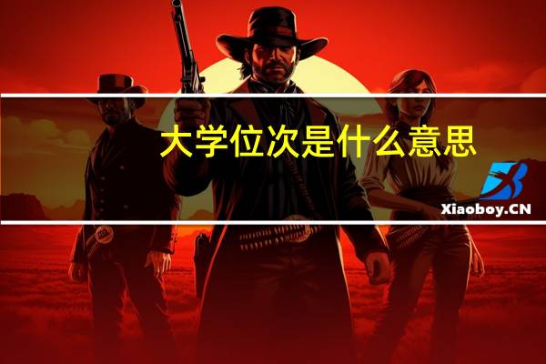 大学位次是什么意思