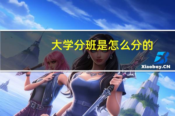 大学分班是怎么分的