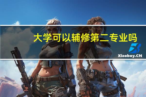 大学可以辅修第二专业吗