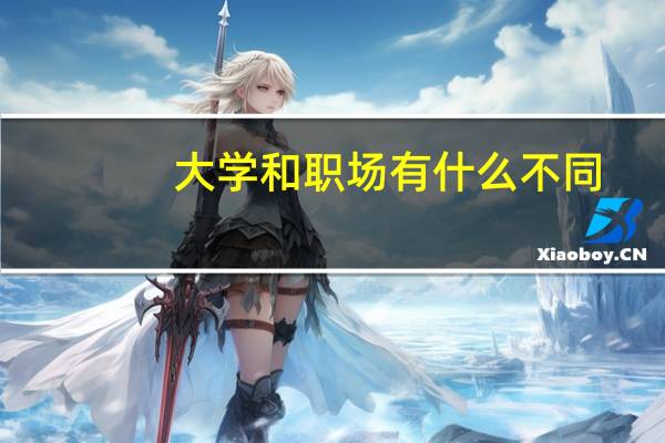 大学和职场有什么不同
