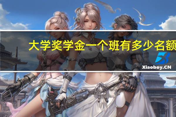 大学奖学金一个班有多少名额