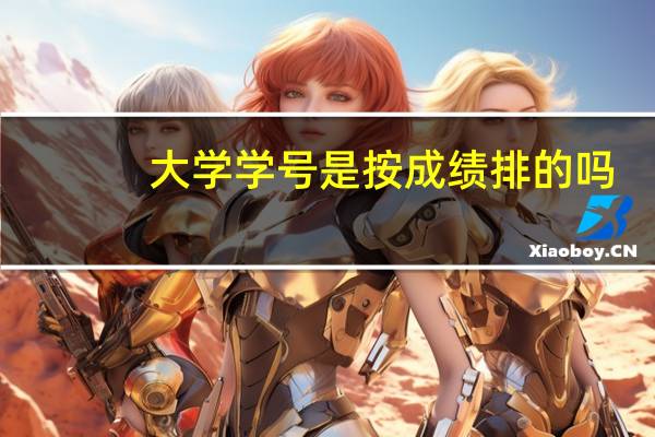 大学学号是按成绩排的吗