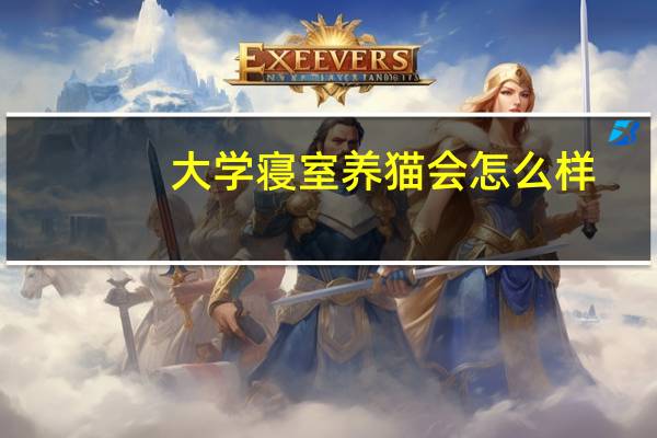 大学寝室养猫会怎么样