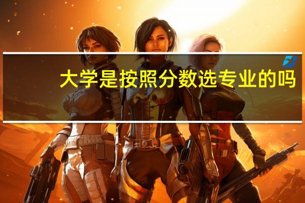 大学是按照分数选专业的吗