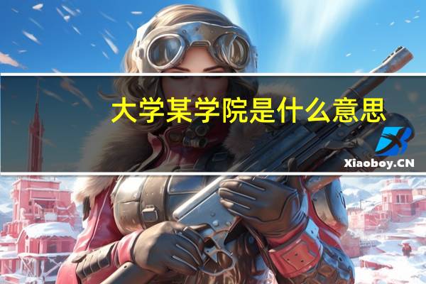 大学某学院是什么意思