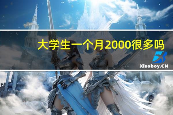 大学生一个月2000很多吗