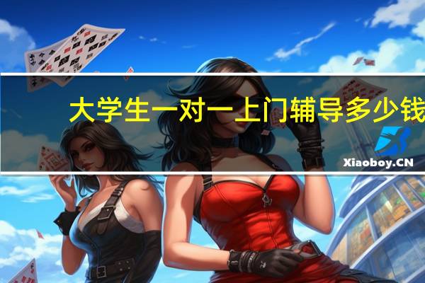 大学生一对一上门辅导多少钱