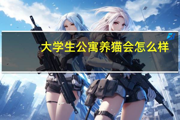 大学生公寓养猫会怎么样
