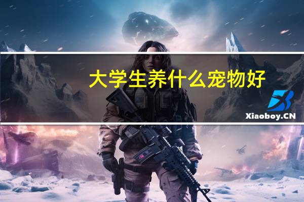 大学生养什么宠物好