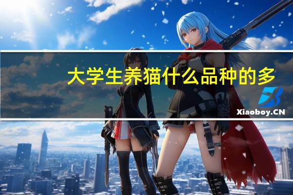 大学生养猫什么品种的多