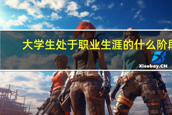 大学生处于职业生涯的什么阶段