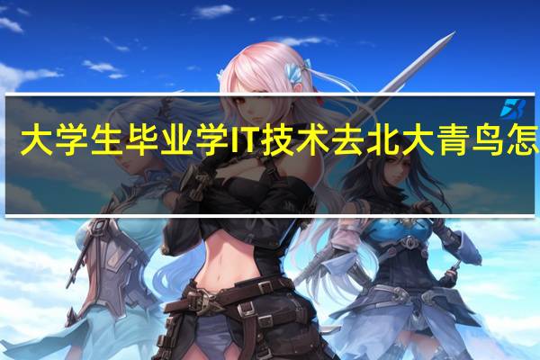 大学生毕业学IT技术去北大青鸟怎么样