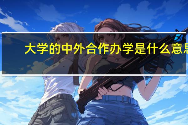 大学的中外合作办学是什么意思