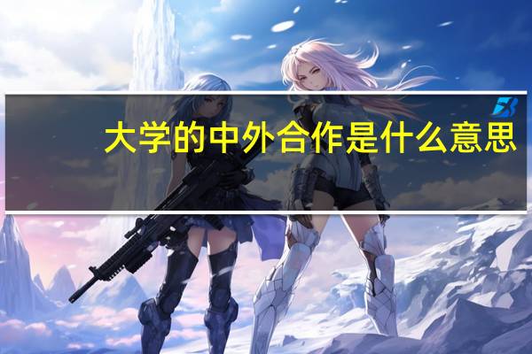 大学的中外合作是什么意思