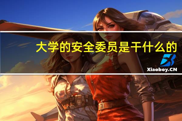 大学的安全委员是干什么的