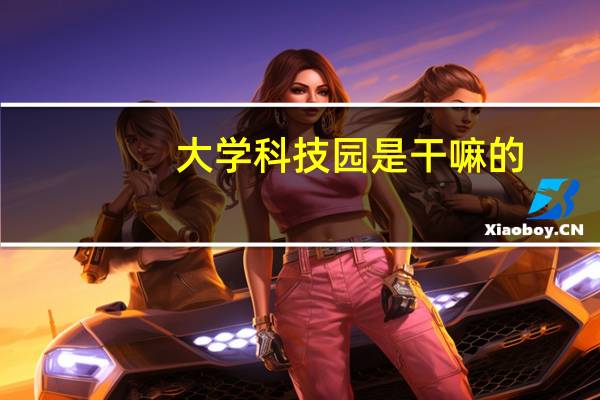 大学科技园是干嘛的
