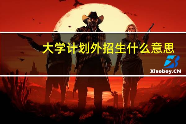 大学计划外招生什么意思