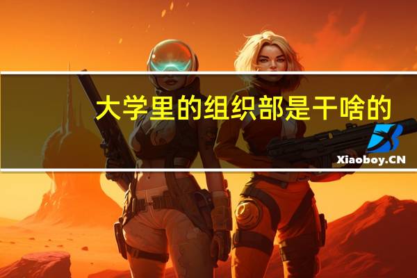 大学里的组织部是干啥的