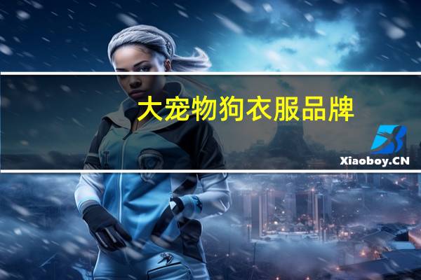 大宠物狗衣服品牌