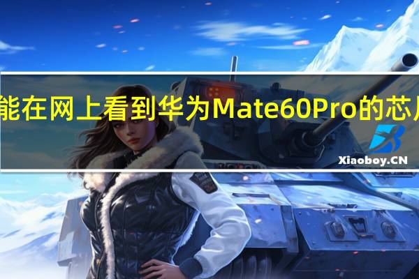 大家已经能在网上看到华为Mate60Pro的芯片信息芯片跑分