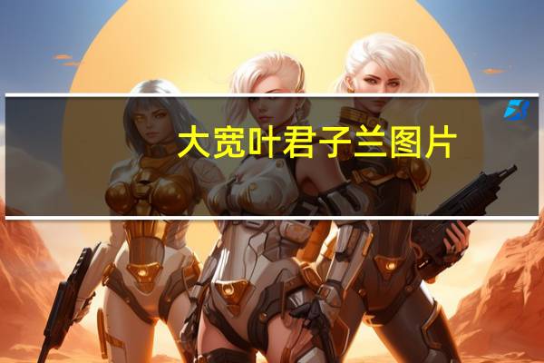 大宽叶君子兰图片（宽叶大花君子兰）