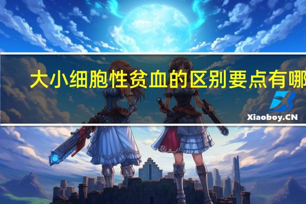 大小细胞性贫血的区别要点有哪些