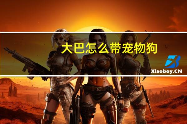 大巴怎么带宠物狗