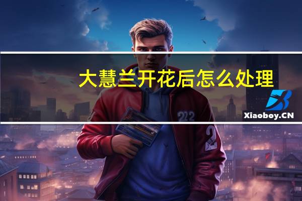 大慧兰开花后怎么处理
