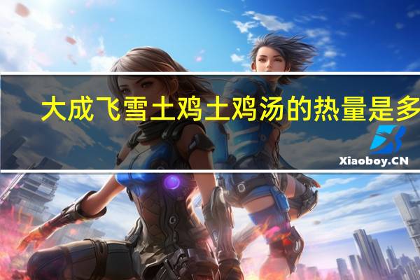 大成 飞雪土鸡 土鸡汤的热量是多少