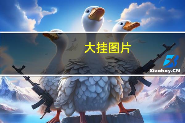 大挂图片（上大挂）