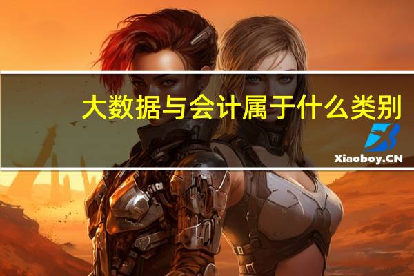 大数据与会计属于什么类别