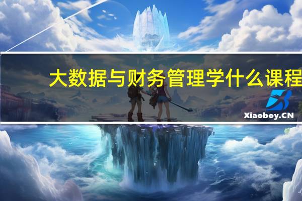 大数据与财务管理学什么课程