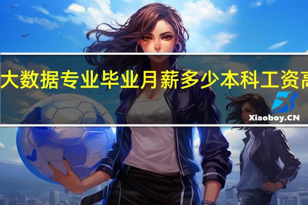 大数据专业毕业月薪多少本科 工资高不高