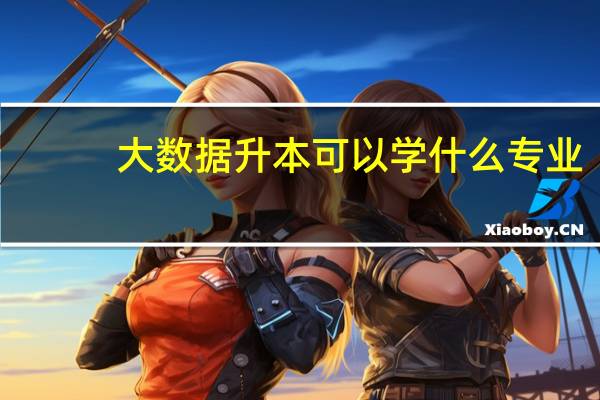 大数据升本可以学什么专业