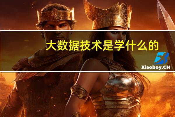 大数据技术是学什么的