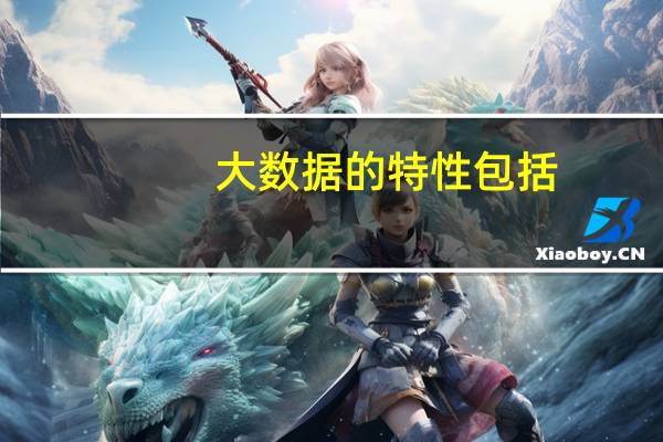 大数据的特性包括