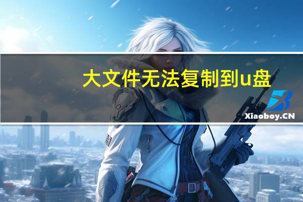 大文件无法复制到u盘（大文件怎么复制到u盘）