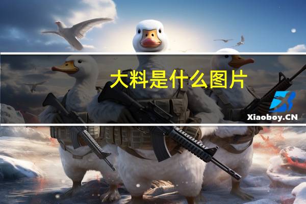 大料是什么图片（大料是什么调料）