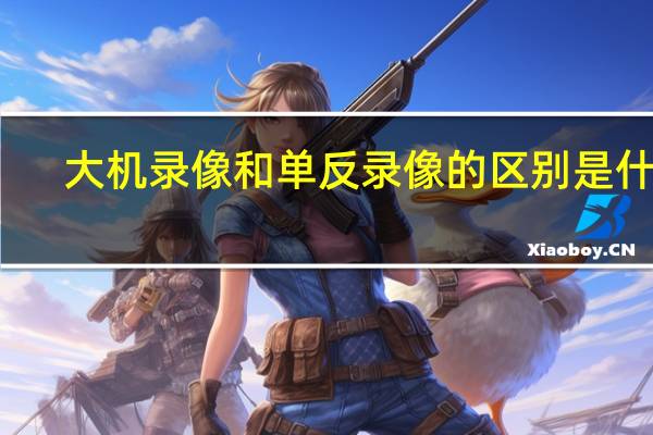 大机录像和单反录像的区别是什么