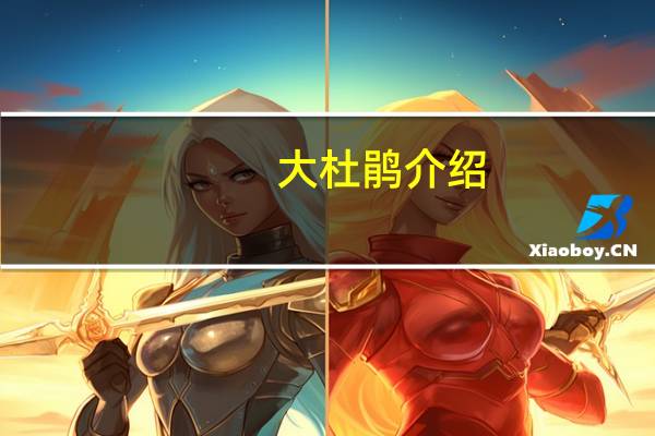 大杜鹃介绍