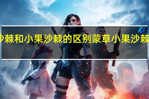 大果沙棘和小果沙棘的区别 蒙草小果沙棘原浆价格表
