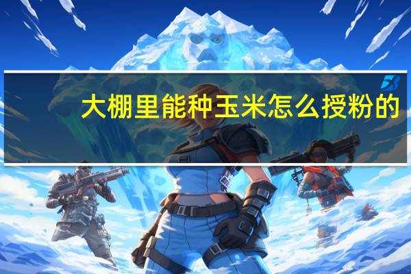 大棚里能种玉米怎么授粉的